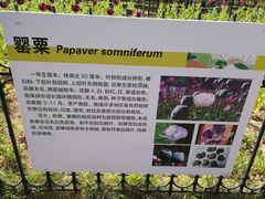 -北京植物园-展览温室