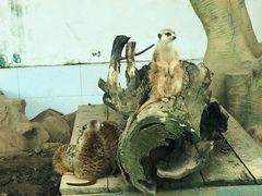 -西安秦岭野生动物园