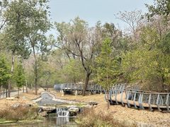 -白水寺森林公园