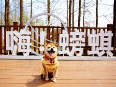-双山岛