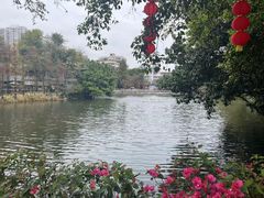 -荔湾湖公园