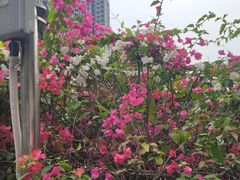 -小南山公园