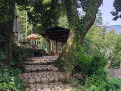 -杨家堂村