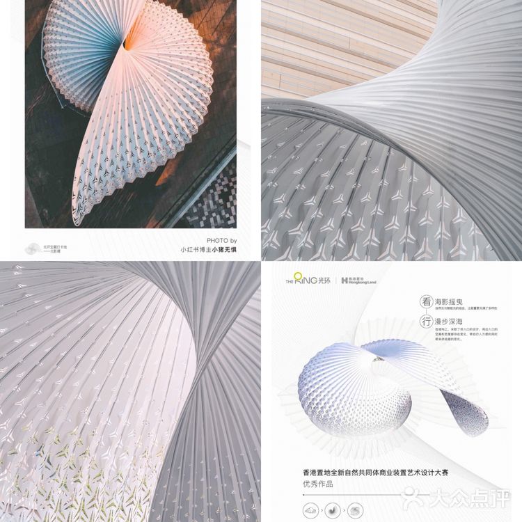 解锁鹦鹉螺｜开启有光的生活