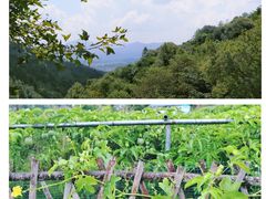-梁野山景区