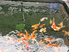 -华庭苑农家乐(旺山店)