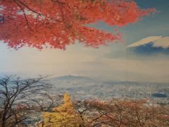 -长崎屋·日本料理·刺身·烧鸟(天河北路店)