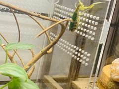 -Rabbit Cafe私房西餐甜点咖啡(栖霞路店)