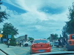 -广东惠东海龟国家级自然保护区