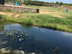 -武汉紫薇都市田园