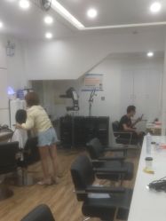-YESIDO椰岛造型