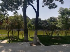 -莲湖公园