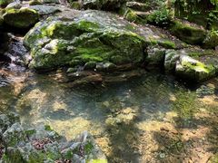 -本溪汤沟绿石谷森林公园