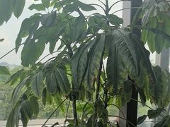 -忆咖啡观景餐厅(桂林象山公园店)
