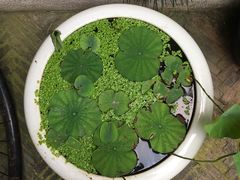 -金谷里艺术馆