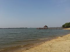 -瑶湖郊野森林公园