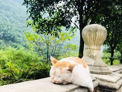 -四洞沟景区