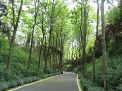 -宜兴龙背山森林公园