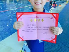 -鲨鱼游泳培训中心