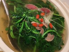 陈肾浸云南高山西洋菜-炳胜品味(海印总店)