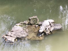-上海野生动物园