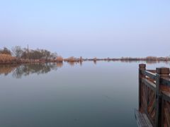 -合肥滨湖国家森林公园