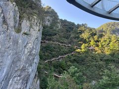 -秦岭天竺山景区