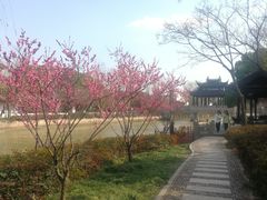 -枫桥景区