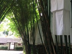 罗望乡村酒店-罗望子村酒店