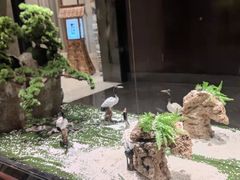 -九洲喜来登酒店湖月日餐厅
