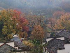 -塔川景区
