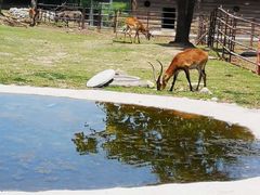 -西安秦岭野生动物园
