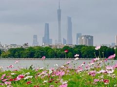 -海珠湖公园