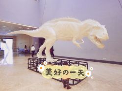 -恐龙探索乐园(磁器口店)