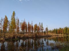 -艾溪湖湿地公园