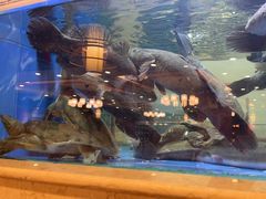 -围龙屋客家食府(福田店)