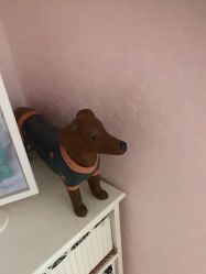 -薇兰专业脱毛连锁机构