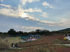 -苏州海洋馆
