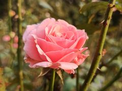 -共青国家森林公园-售票处