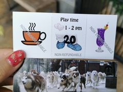 -TrueLove @ Neverland (Husky Cafe)