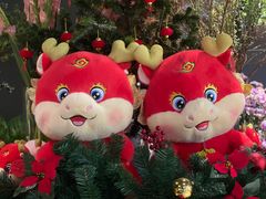 -狮拾久·现代新加坡料理(福田COCO Park店)