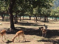 -西安秦岭野生动物园