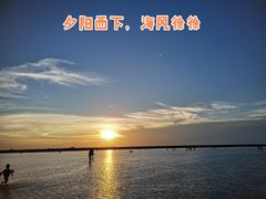 -南汇嘴观海公园