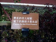 -金鸡山公园