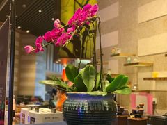 -龙城咖啡厅(常州富都洲际店)