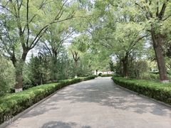 -大槐树寻根祭祖园