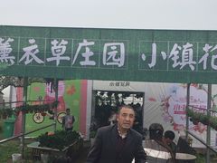 -曲江薰衣草庄园