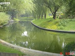 -紫竹院公园冰场