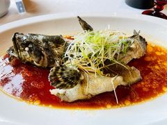 沙巴龙趸-三号黄浦会Canton Table