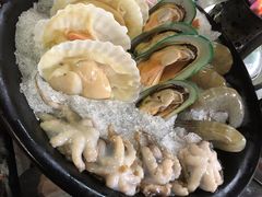 扇贝-丽江庭院之爱在路上(西单店)
